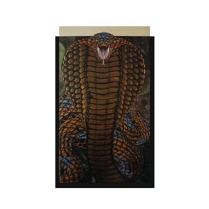 Coiled Authority